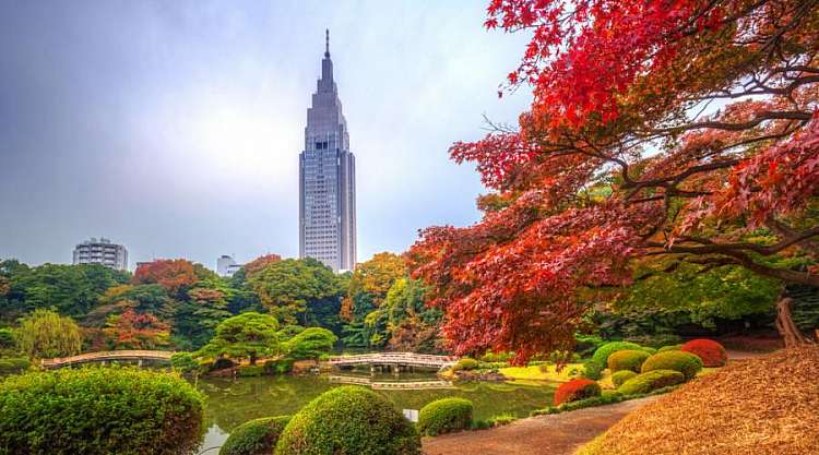 Il parco Shinjuku di Tokyo